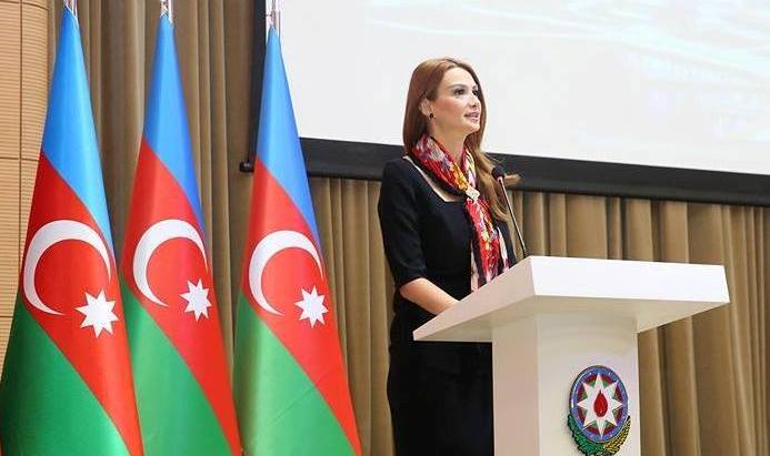 Millət vəkili Qənirə Paşayeva MM-də çıxış etdi
