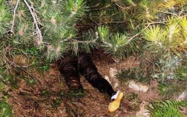 Azərbaycanda baş verən inanılmaz cinayətin