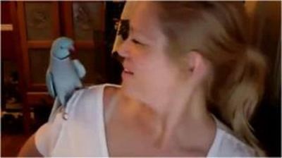 Tutuquşu insan kimi söhbət etdi, dərdləşdi