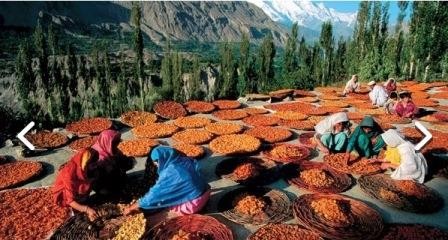 Bu türk qadınları 60 yaşında ana olur