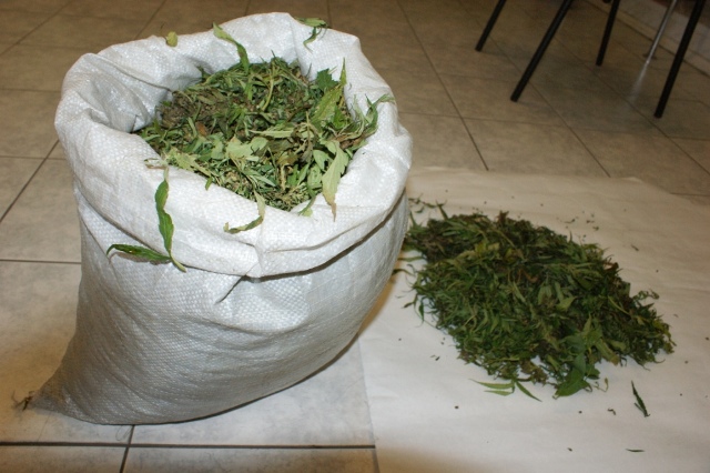 Gürcüstandan Azərbaycana marixuana gətirən şəxs yaxalandı