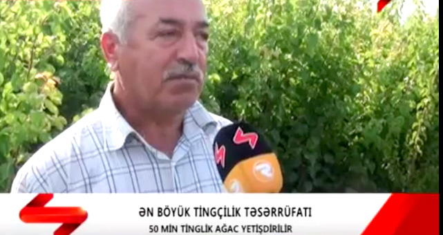 Şəkidə hər kəs bu zəhmətkeşdən danışır