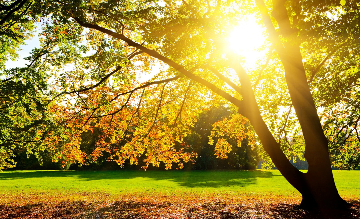 Oktyabr ayına olan hava proqnozu açıqlandı