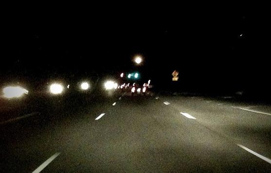 İçində 40 adam olan sərnişin avtobusu qoyun sürüsünə girdi