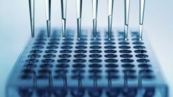 Alimlər elə bir kəşfə imza atdılar ki...