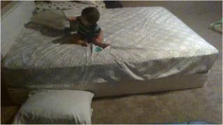 Bu körpənin məntiqi və ağıllı olmağı sizi çox təəccübləndirəcək