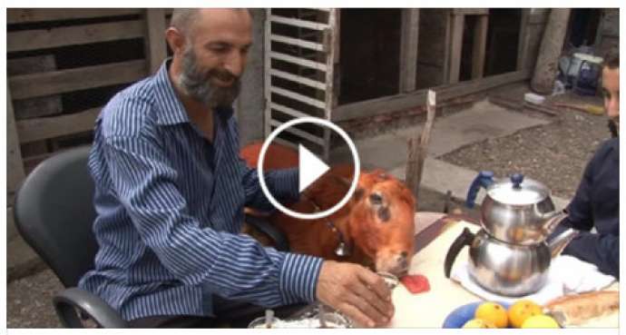 4 ildir kəsə bilmədiyi qoyunu ilə səhər yeməyi yedi