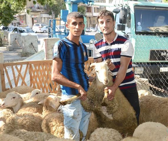 Dirisi 4, ölüsü 9 manata…