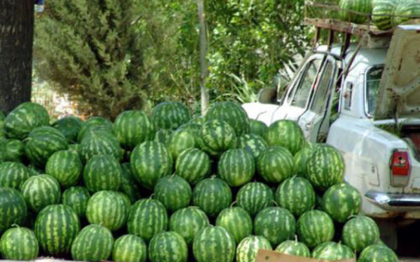 Bakıda qarpız satan şəxsi polis saxladı