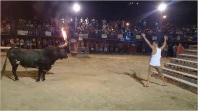 Öküz yenə öküzlük etdi, vurub yerə sərdi...