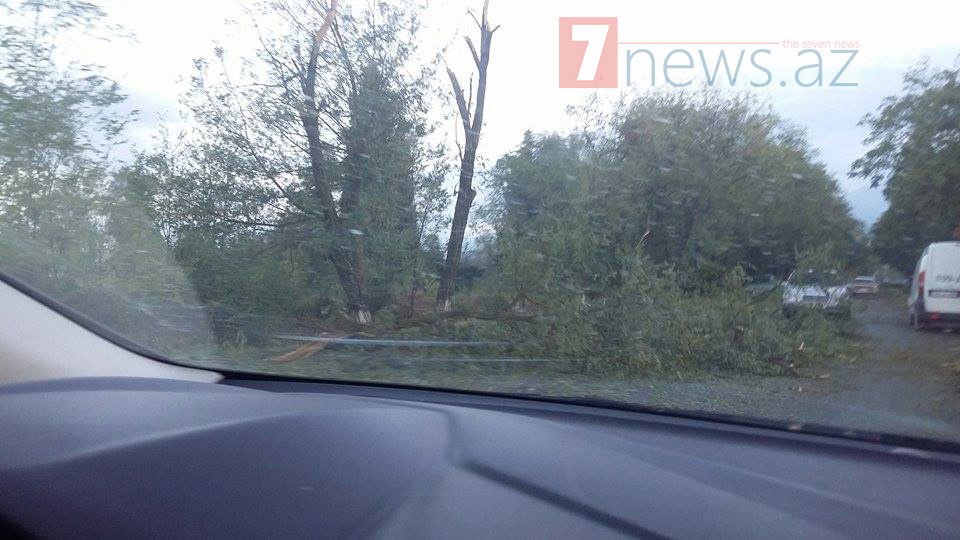 Şəkidə növbəti dəhşətli təbii fəlakət