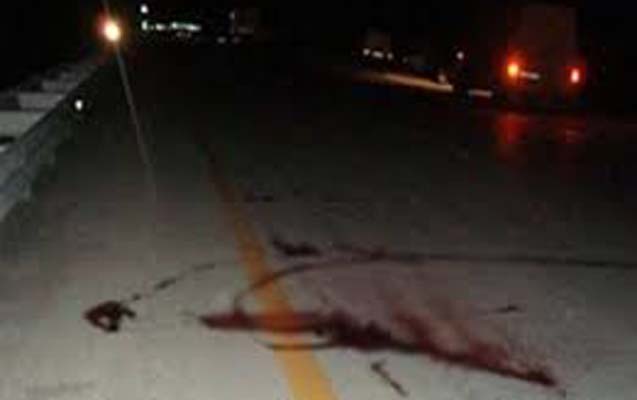 “Mercedes” iki piyadanı vurdu