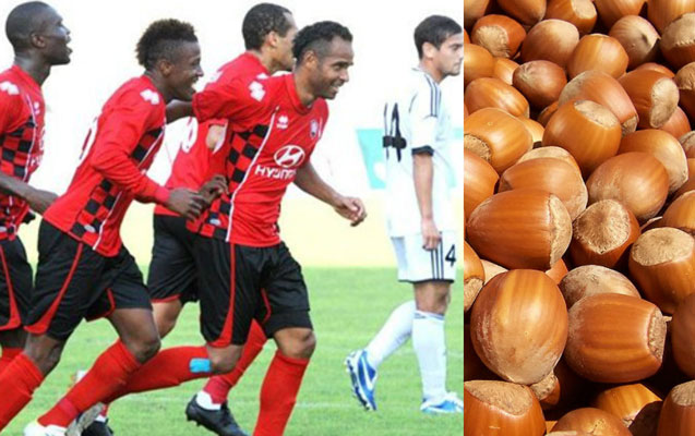 Fındıq “Qəbələ”yə necə problem yaratdı?