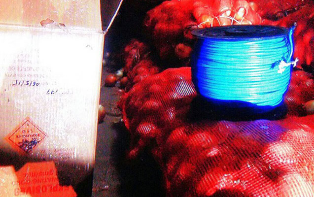 Türkiyədə dəhşətli terrorun qarşısı alındı