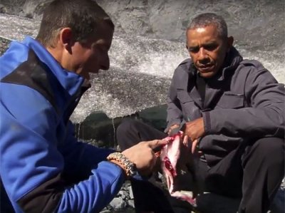 Obama ayının yediyi balıqla qidalandı