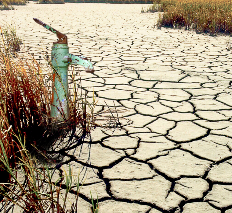 Nizami rayonunda yaşıllıqlar təhlükədədir