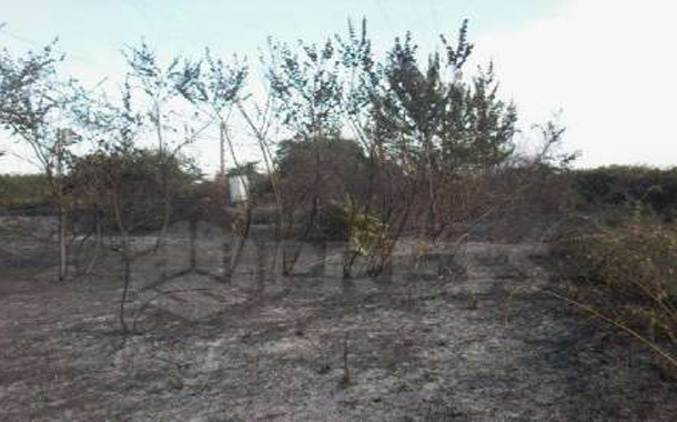 İsti külək şimalda yanğın törətdi