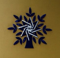 YAP siyahını sabah açıqlayacaq