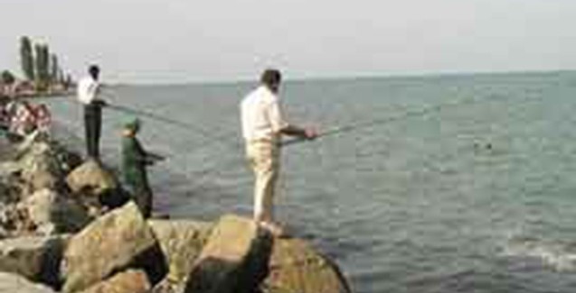 Şəhid oğlunu “tok” vurdu-