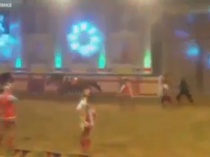 Sirkdə at qadını sürüyə-sürüyə öldürdü