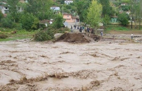 1 uşağı və 30-a yaxın mal-qaranı apardı