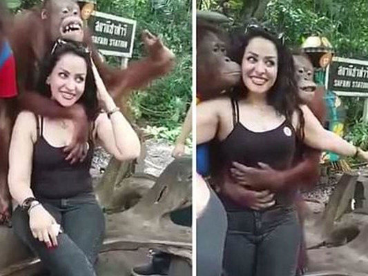 Meymun onunla şəkil çəkdirmək istəyən qıza …