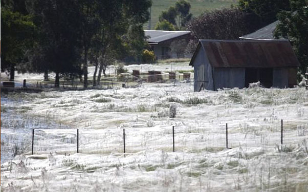 İnanılmaz mənzərə