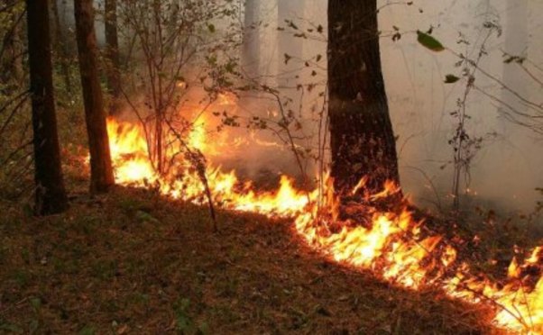 Şabranda güclü yanğın başladı