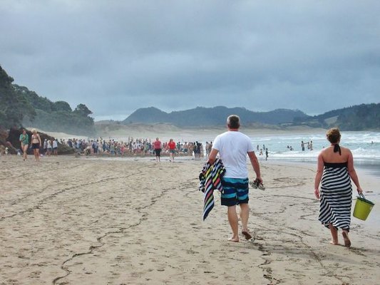 Bakıda pulsuz çimərlik açılacaq