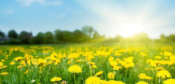 Bu gün 38 dərəcə isti olacaq