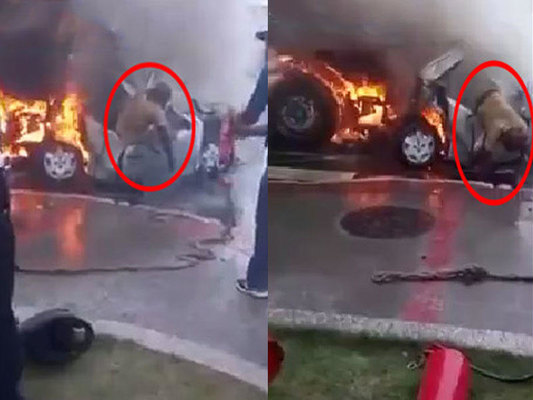 Yanan maşındakı adamı qurtarmağa çalışdılar, amma… - VİDEO