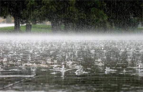 Leysan, dolu gözlənilir