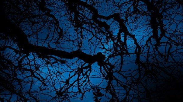 Ağdaşda müəmmalı vəziyyət