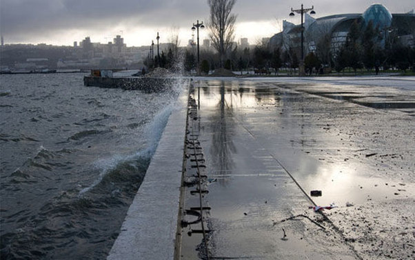 Bakı bulvarında meyit tapıldı