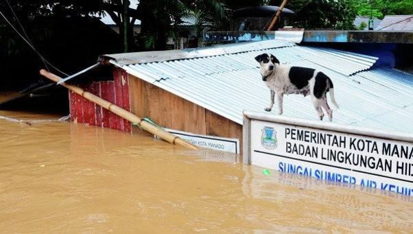 Ölənlərin sayı 56-ya çatdı