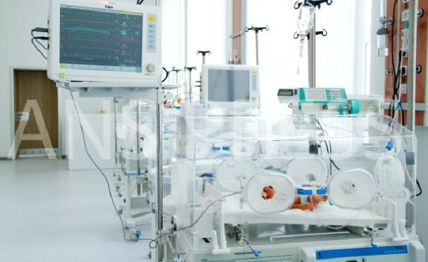 Üçəmlərdən sağ qalanı reanimasiyaya yerləşdirildi