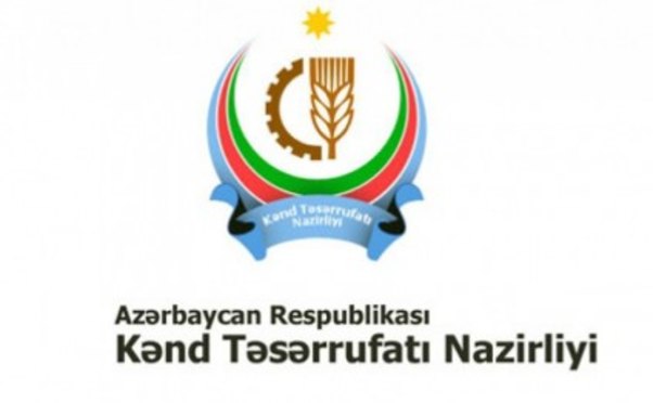 Bu il məhsul qıtlığı və bahalaşma olmayacaq