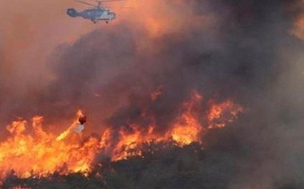 Şamaxıda güclü yanğın