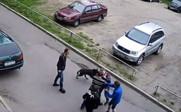 Bacı-qardaş ər-arvadla dalaşdı