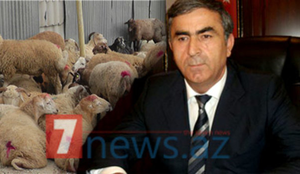 Sevindik Hətəmovla bağlı biabırçı xəbər