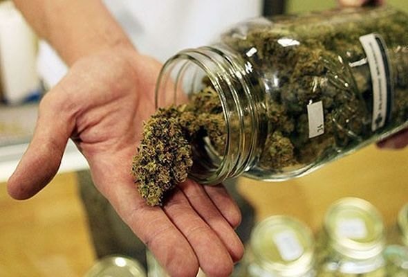 Qoruqda çətənə əkən gözətçi işdən çıxarıldı