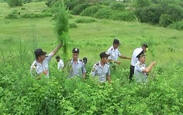 Nazirliyin əməkdaşında narkotik və silah aşkarlandı