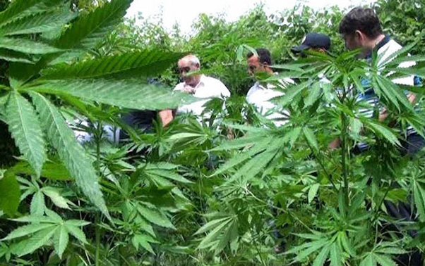 Polis əməliyyat keçirdi