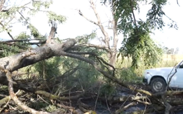 Şəkiyə də dolu düşdü