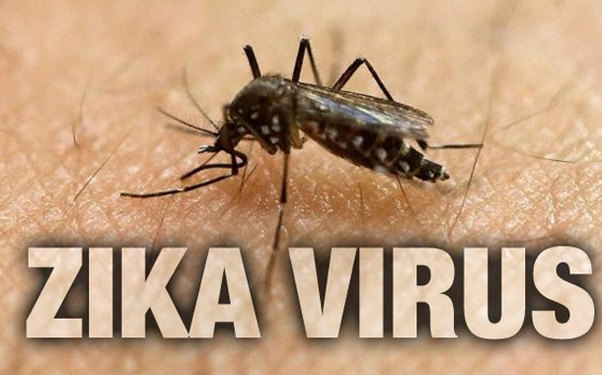 Zika virusunu operativ aşkarlayan test hazırlanıb
