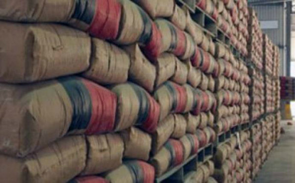 Bazarda saxta sementlər var