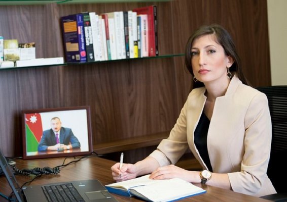 Dövlət Agentliyinə sədr müavini