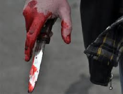 Özünü bıçaqladı, qardaşının üzərinə atdı