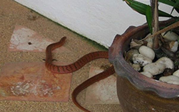 20 yaşlı gənci ilan sancdı