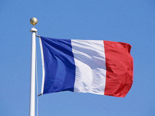 Paris Vyana görüşünün yekunlarını alqışlayır